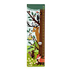Wildlife Animal Growth Chart